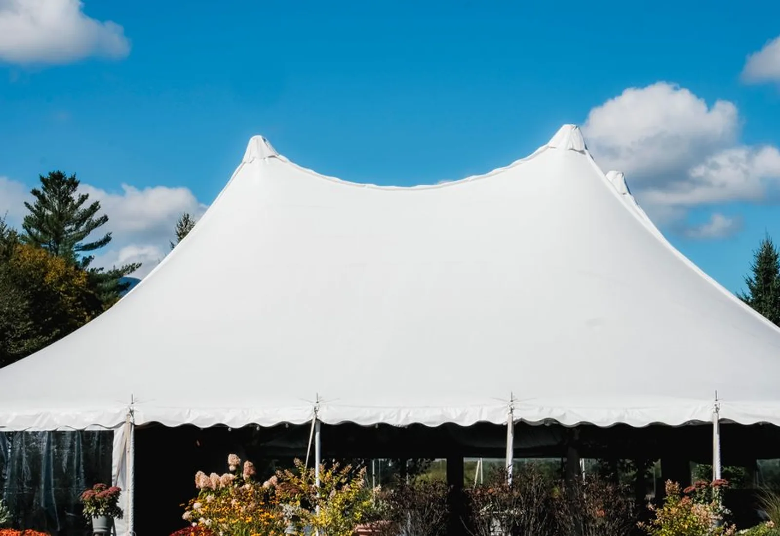 A white pole tent pitched on the lawn, open on all sides