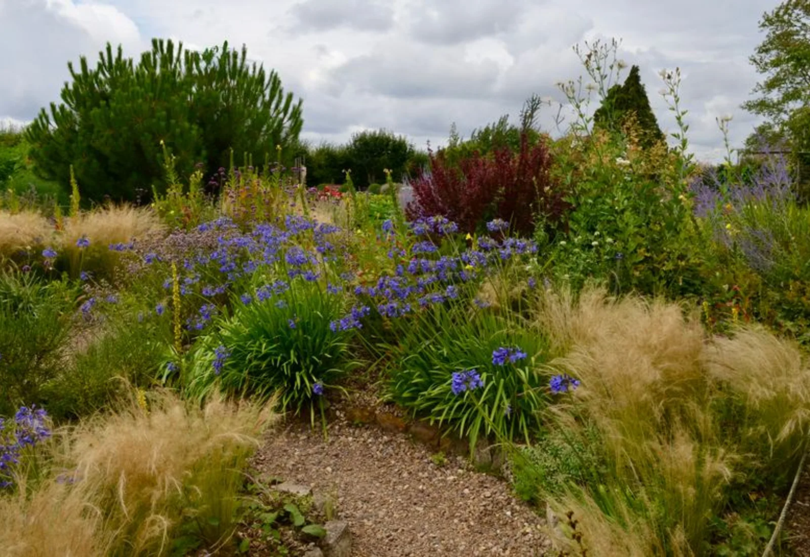 A path winding between perennial beds in full bloom